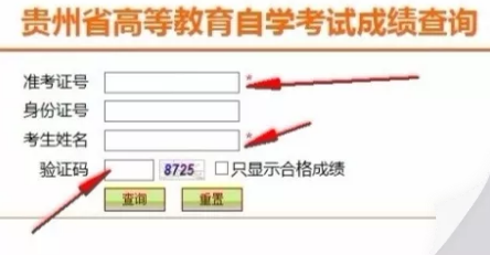 通知!贵州2019年10月自学考试成绩已于11月15日公布 通知!贵州2019年10月自学考试成绩已于11月15日公布
