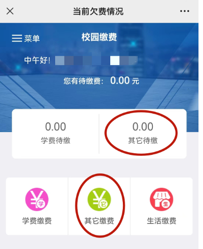关于2023年上半年自学考试辽宁大学主考专业实践课缴费的通知 关于2023年上半年自学考试辽宁大学主考专业实践课缴费的通知