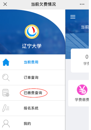 关于2023年上半年自学考试辽宁大学主考专业实践课缴费的通知 关于2023年上半年自学考试辽宁大学主考专业实践课缴费的通知