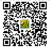 四川外国语大学2023年下半年自学考试毕业论文撰写报名通知